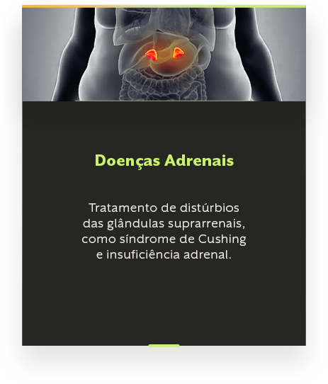 [CJ] BOX ADENAIS 2